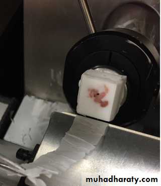 Preparation of Histological slides