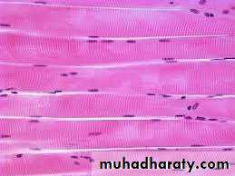 Preparation of Histological slides