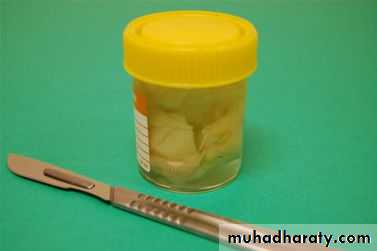 Preparation of Histological slides
