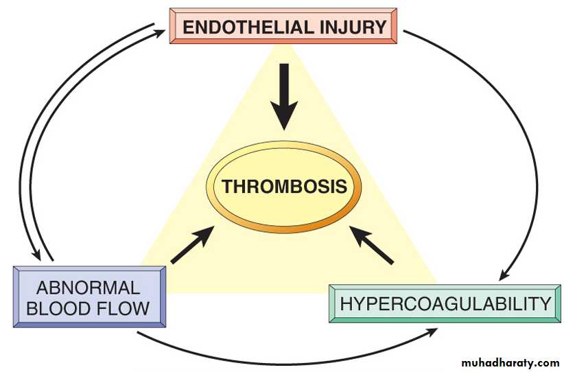 Hemodynamic disorder