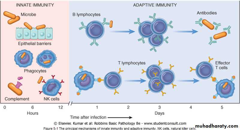 Disease of immunity system