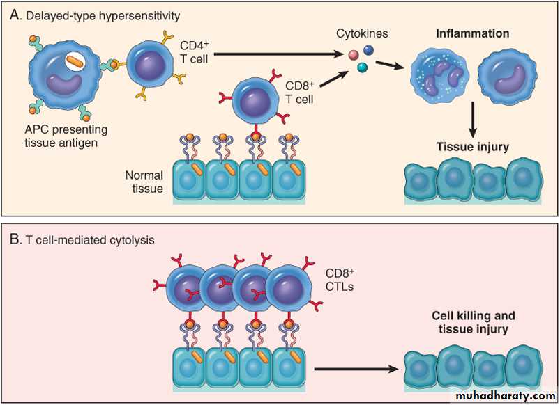 Disease of immunity system