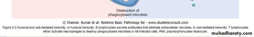 Disease of immunity system