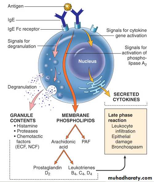 Disease of immunity system