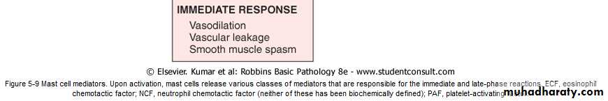 Disease of immunity system