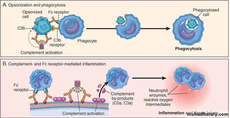 Disease of immunity system