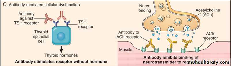 Disease of immunity system