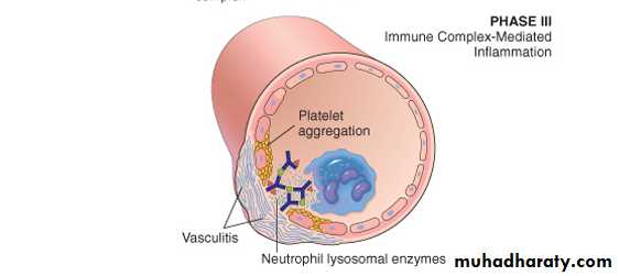 Disease of immunity system