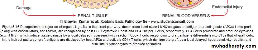 Disease of immunity system