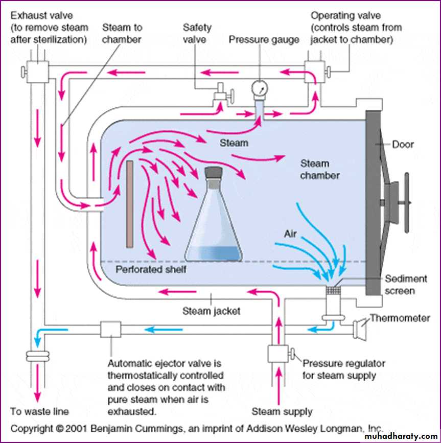 Sterilization_3