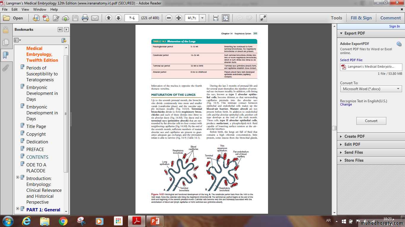 Respiratory system