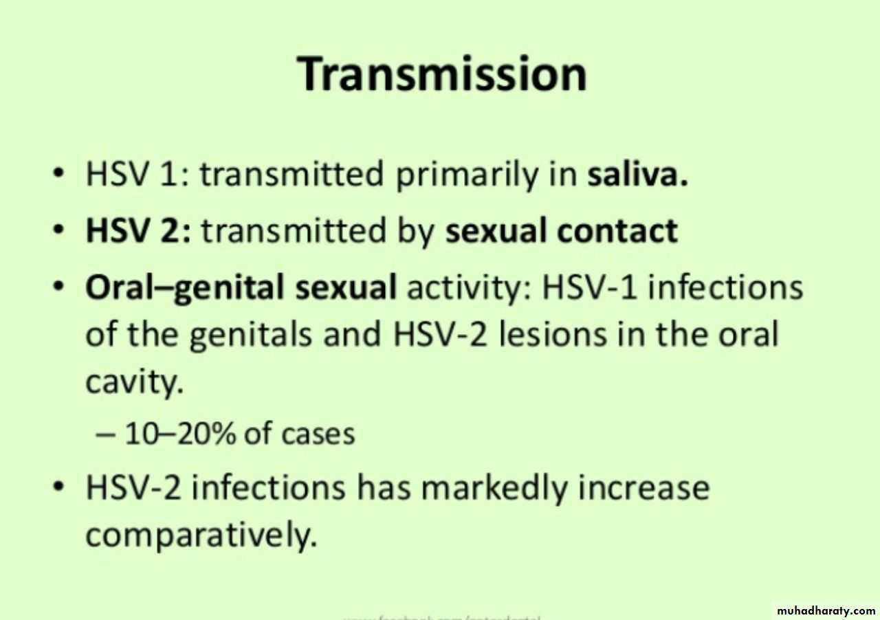 Herpesviruses