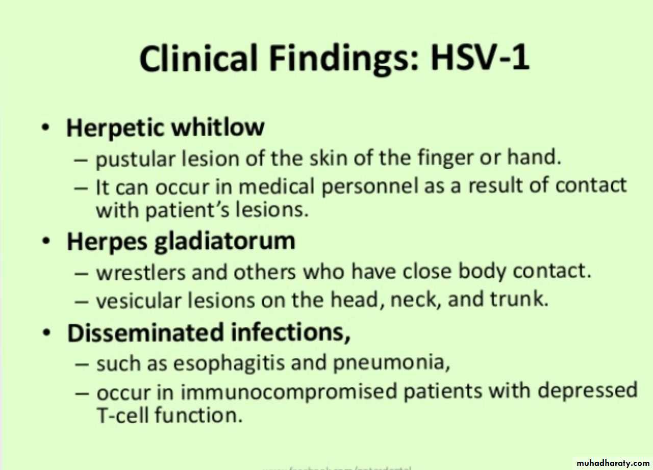 Herpesviruses