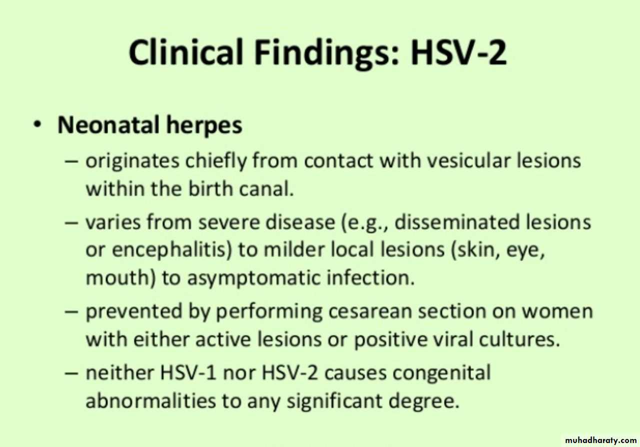 Herpesviruses