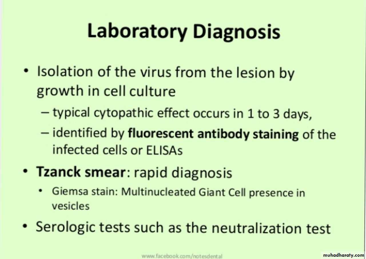 Herpesviruses