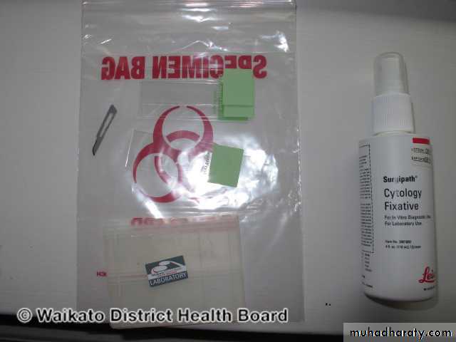 Herpesviruses