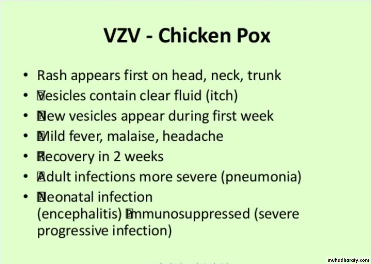 Herpesviruses