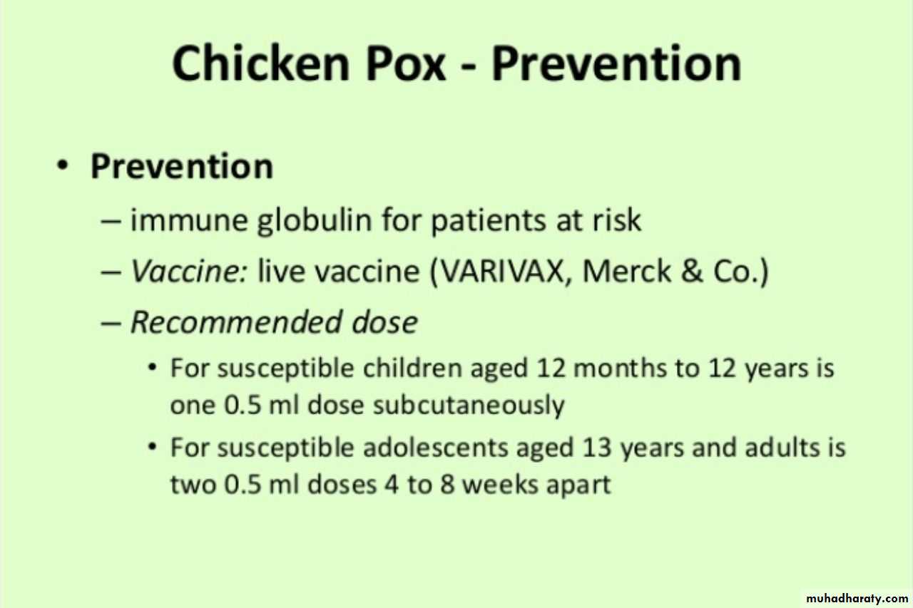 Herpesviruses