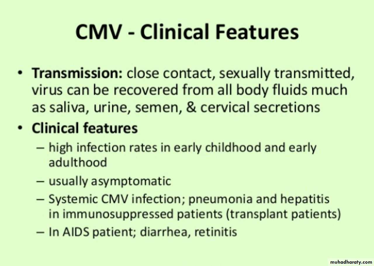 Herpesviruses