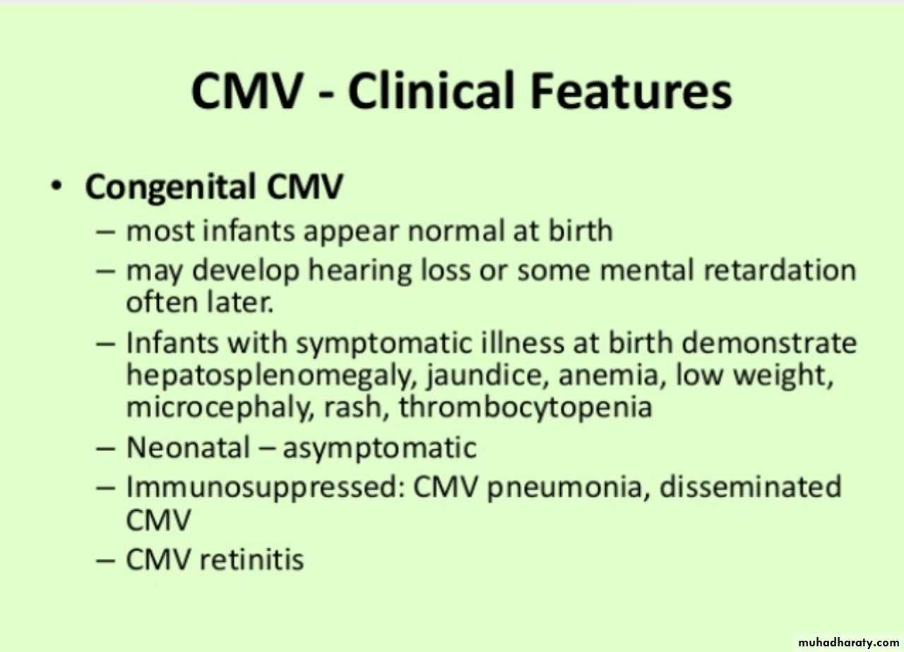 Herpesviruses
