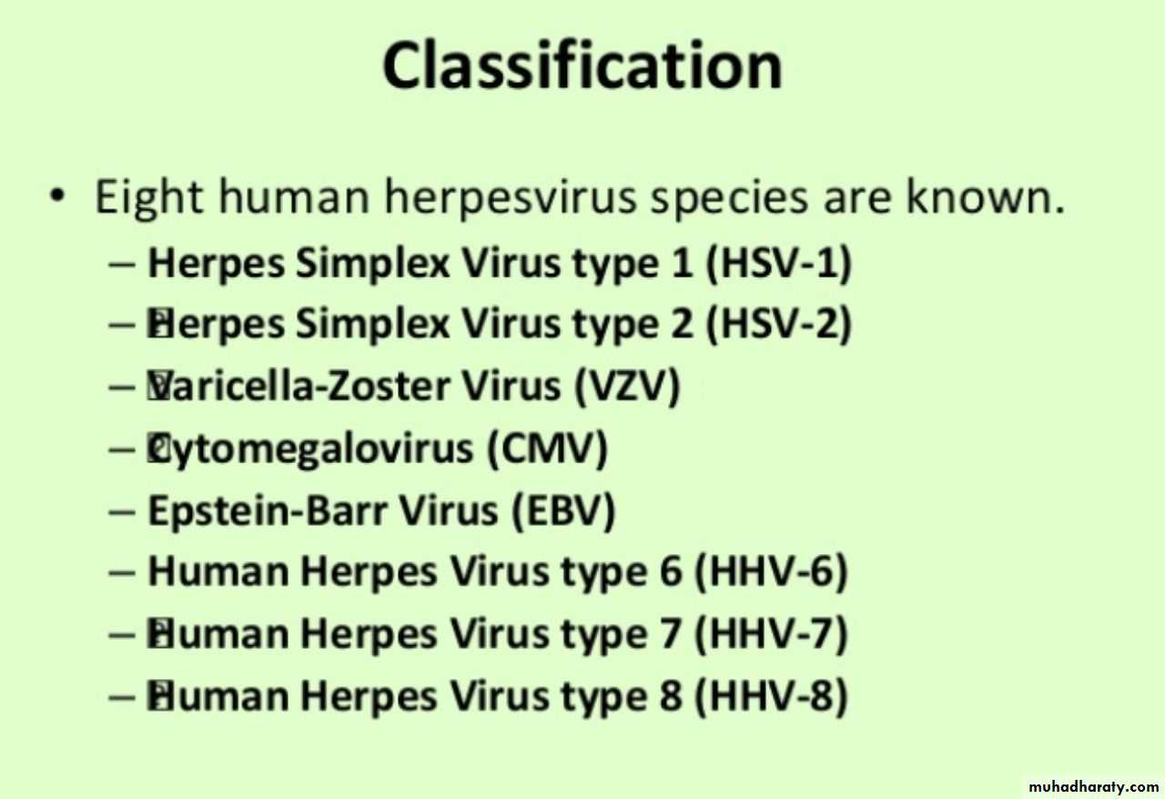 Herpesviruses