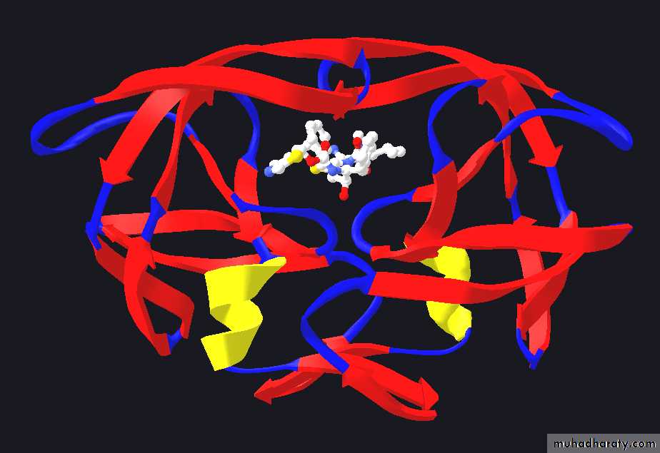 Antiviral Drugs