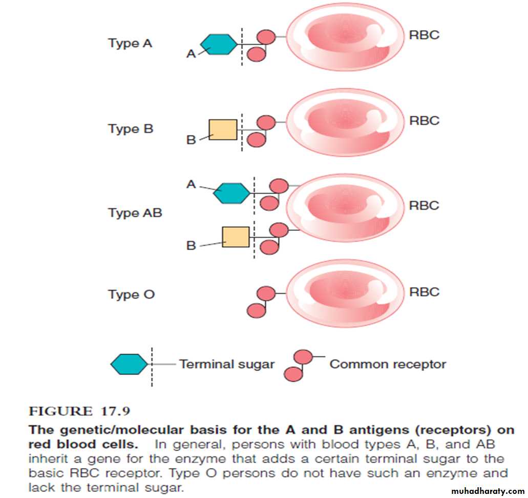 Disorders in Immunity