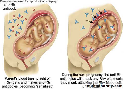 Disorders in Immunity