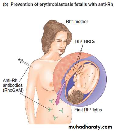 Disorders in Immunity