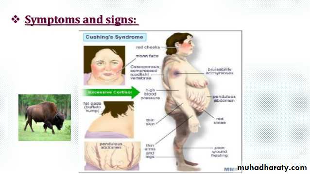 Manifestations of Systemic Diseases