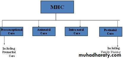 Reproductive health. Part 1