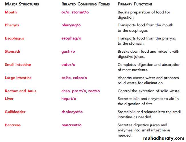 Terminology : Part 4