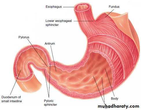 Terminology : Part 4