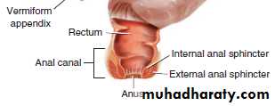Terminology : Part 4