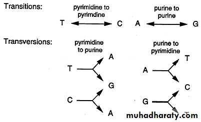 Mutations