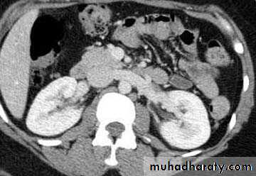 Genito-urinary System
