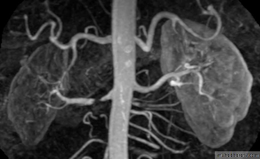 Genito-urinary System