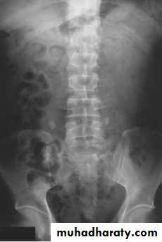 Genito-urinary System