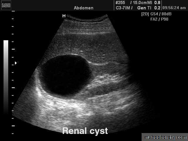 Genito-urinary System