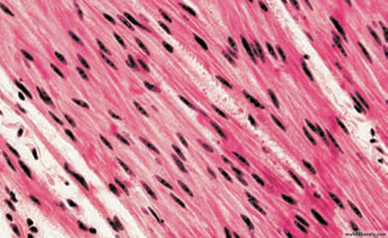 Muscle and Nerve tissues
