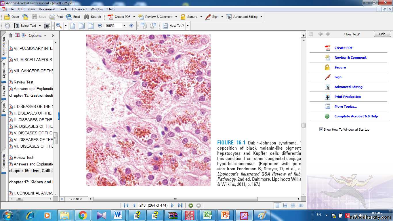 Liver 1