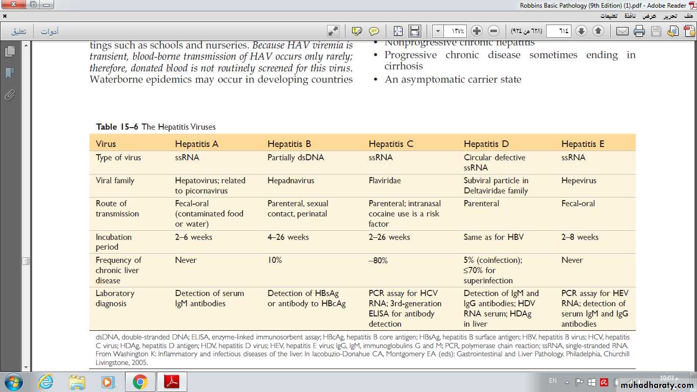 Liver 1