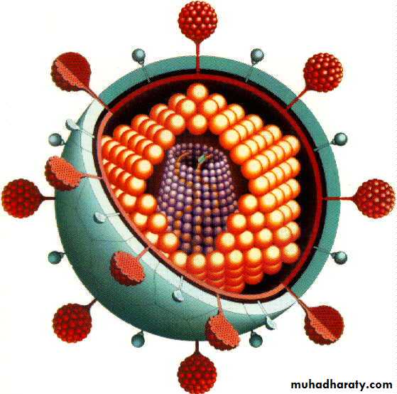 Introduction to Viruses