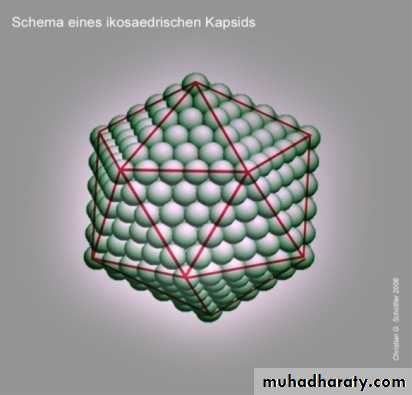 Introduction to Viruses