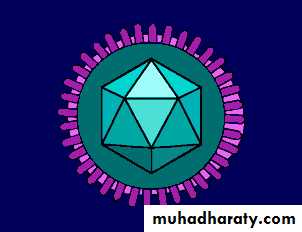 Introduction to Viruses