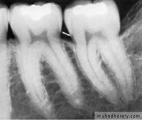 Clinical Periodontology