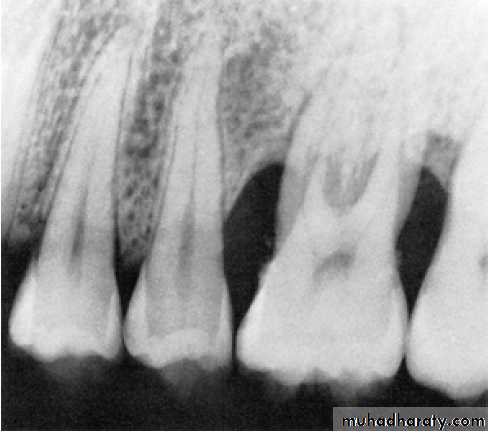 Clinical Periodontology