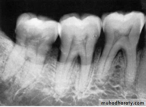 Clinical Periodontology
