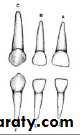 Morphology of Deciduous teeth