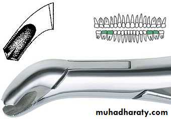 Morphology of Deciduous teeth
